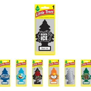 Little Trees Caja 144 Pza Varios Aromas - Master 5