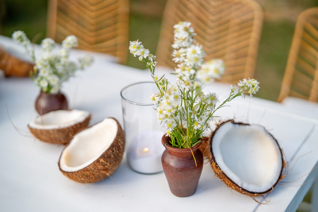 Little Trees Coconut aromatizante