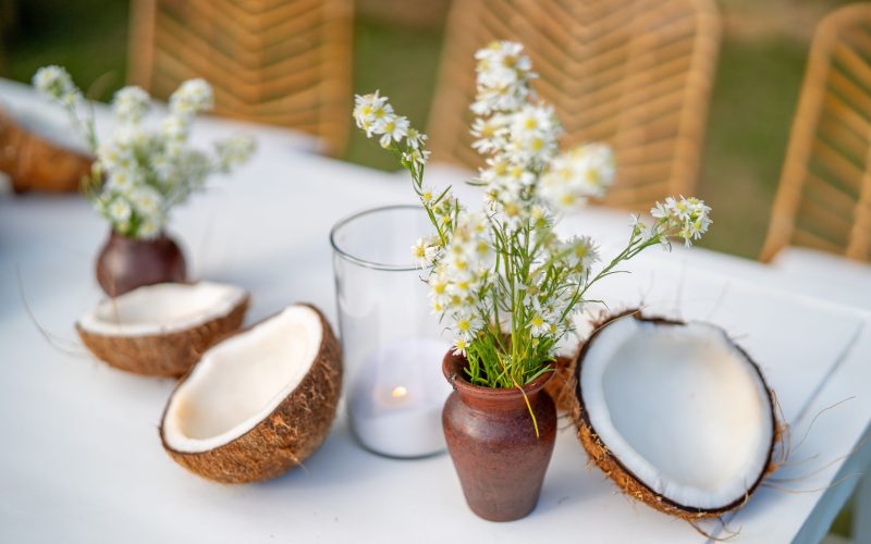 Little Trees Coconut aromatizante
